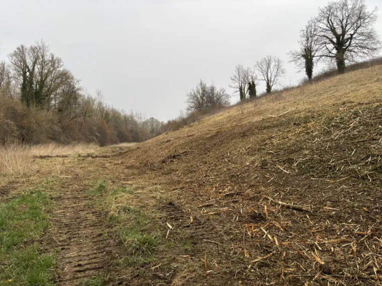 Nettoyage d'un terrain à Rozet St Albin, Soissons, Joachim Services