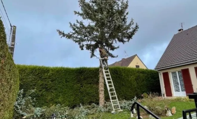 Entreprise d'entretien d'espaces verts, Soissons, Joachim Services