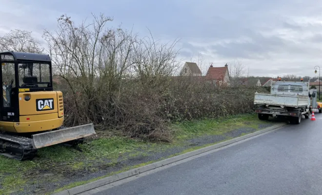 nettoyage / broyage terrain